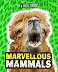 E-Book (pdf) Marvellous Mammals von Isabel Thomas
