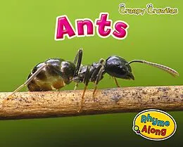 E-Book (pdf) Ants von Rebecca Rissman