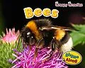 E-Book (pdf) Bees von Rebecca Rissman