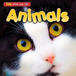 E-Book (pdf) Animals von Rebecca Rissman