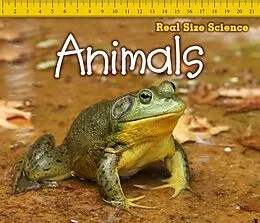 E-Book (pdf) Animals von Rebecca Rissman