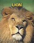 E-Book (pdf) Lions von Claire Throp