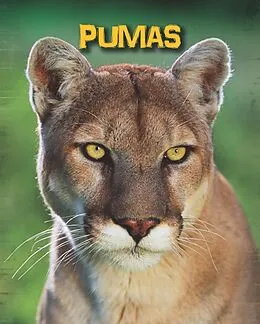 E-Book (pdf) Pumas von Charlotte Guillain