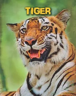 E-Book (pdf) Tigers von Anna Claybourne