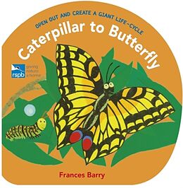 Fester Einband Caterpillar to Butterfly von Frances Barry