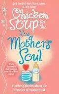 E-Book (epub) Chicken Soup for the New Mother's Soul von Jack Canfield, Mark Victor Hansen, Patty Aubery