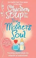 E-Book (epub) Chicken Soup for the New Mother's Soul von Jack Canfield, Mark Victor Hansen, Patty Aubery