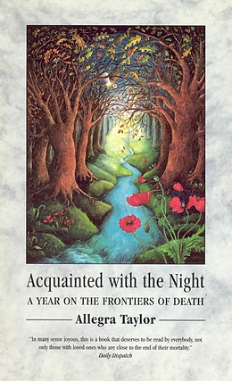 E-Book (epub) Acquainted With The Night von Allegra Taylor