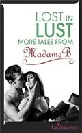 E-Book (epub) Lost in Lust von Ann Summers