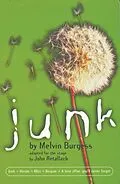 E-Book (epub) Junk von Melvin Burgess