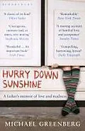 E-Book (epub) Hurry Down Sunshine von Michael Greenberg