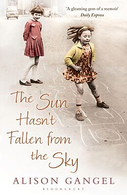 eBook (epub) The Sun Hasn't Fallen From the Sky de Alison Gangel