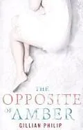 E-Book (epub) The Opposite of Amber von Gillian Philip