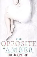 E-Book (epub) The Opposite of Amber von Gillian Philip