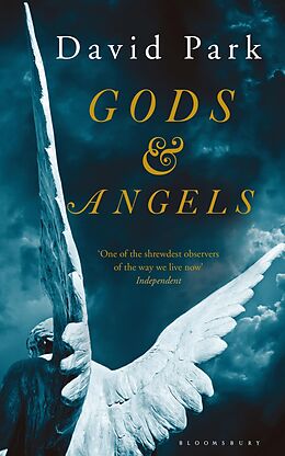 E-Book (epub) Gods and Angels von David Park