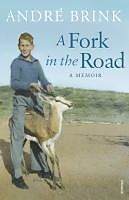 eBook (epub) A Fork in the Road de André Brink