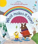 Pappband Lift-the-Flap First Questions and Answers What Makes it Rain? von Katie Daynes