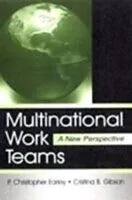 E-Book (pdf) Multinational Work Teams von P. Christopher Earley, Cristina B. Gibson