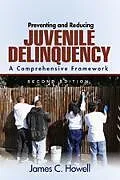 Kartonierter Einband (Kt) Preventing and Reducing Juvenile Delinquency von James C. Howell
