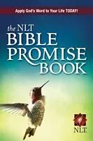 E-Book (epub) NLT Bible Promise Book von Ronald A. Beers