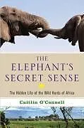 E-Book (epub) The Elephant's Secret Sense von Caitlin O'Connell