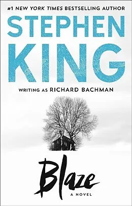 E-Book (epub) Blaze von Richard Bachman