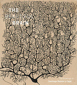 Livre Relié The Beautiful Brain de Swanson Larry, Newman Eric, Alfonso Araque