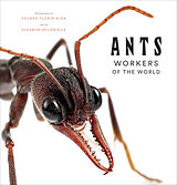 Livre Relié Ants: Workers of the World de Eleanor Spicer Rice