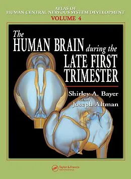 PDF The Human Brain During the Late First Trimester von Shirley A. Bayer, Joseph Altman