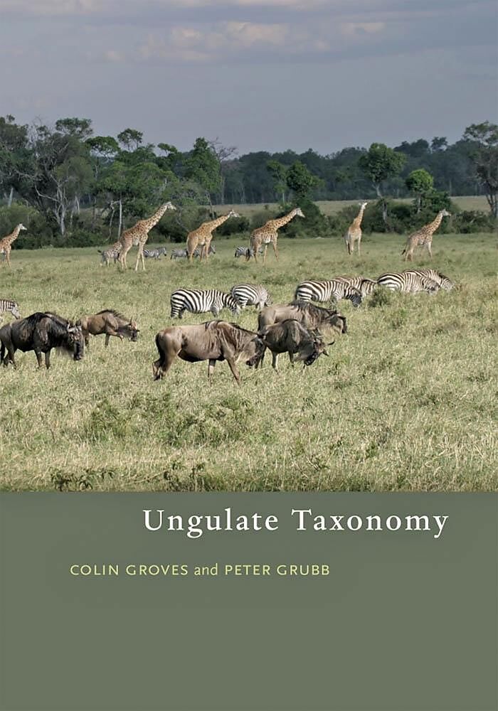 Ungulate Taxonomy