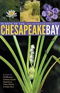 E-Book (epub) Plants of the Chesapeake Bay von Lytton John Musselman