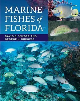 E-Book (epub) Marine Fishes of Florida von David B. Snyder