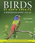 E-Book (epub) Birds of North America von Bruce M. Beehler