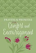 E-Book (epub) Prayers &amp; Promises for Comfort and Encouragement von BroadStreet Publishing Group LLC
