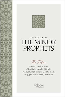 eBook (epub) The Minor Prophets de Brian Simmons