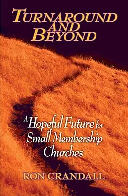 E-Book (epub) Turnaround and Beyond von Ron Crandall