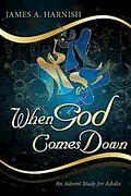 E-Book (epub) When God Comes Down von James A. Harnish