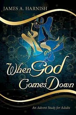 E-Book (epub) When God Comes Down von James A. Harnish