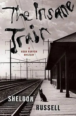 E-Book (epub) The Insane Train von Sheldon Russell