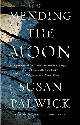 E-Book (epub) Mending the Moon von Susan Palwick