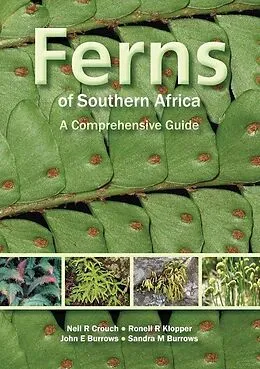 E-Book (pdf) Ferns of Southern Africa: A Comprehensive Guide (PVC) von Neil R. Crouch