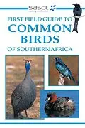 E-Book (pdf) Sasol First Field Guide to Common Birds of Southern Africa von Tracey Hawthorne