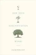Kartonierter Einband How Does Sanctification Work? von David Powlison