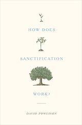 E-Book (epub) How Does Sanctification Work? von David Powlison
