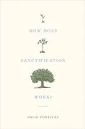 E-Book (epub) How Does Sanctification Work? von David Powlison