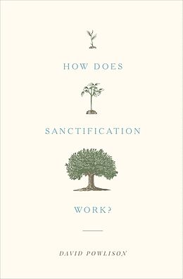 E-Book (epub) How Does Sanctification Work? von David Powlison