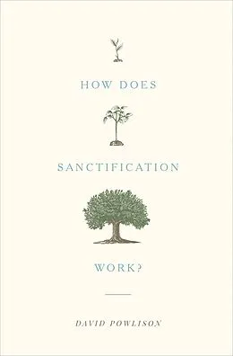 E-Book (epub) How Does Sanctification Work? von David Powlison