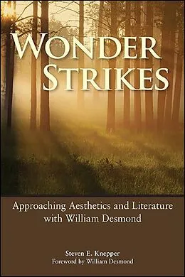 E-Book (epub) Wonder Strikes von Steven E. Knepper
