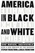 E-Book (epub) America in Black and White von Stephan Thernstrom, Abigail Thernstrom