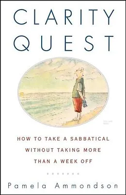 E-Book (epub) Clarity Quest von Pamela Ammondson